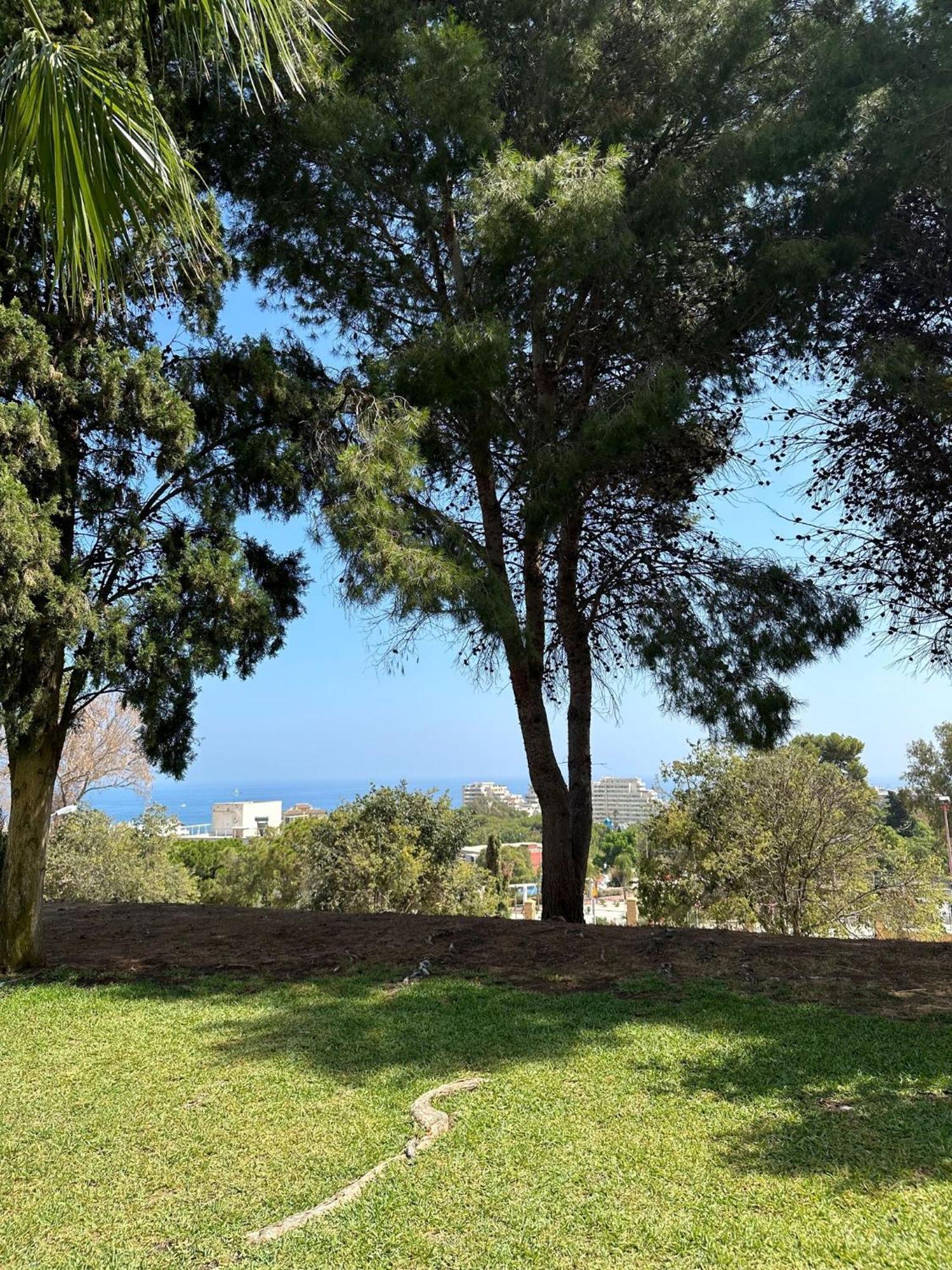 Benalmadena Gamonal Apartment Malaga Ngoại thất bức ảnh